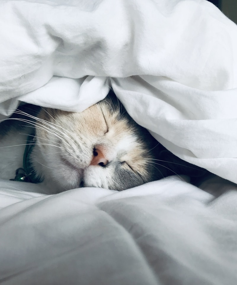 Femme dormant paisiblement