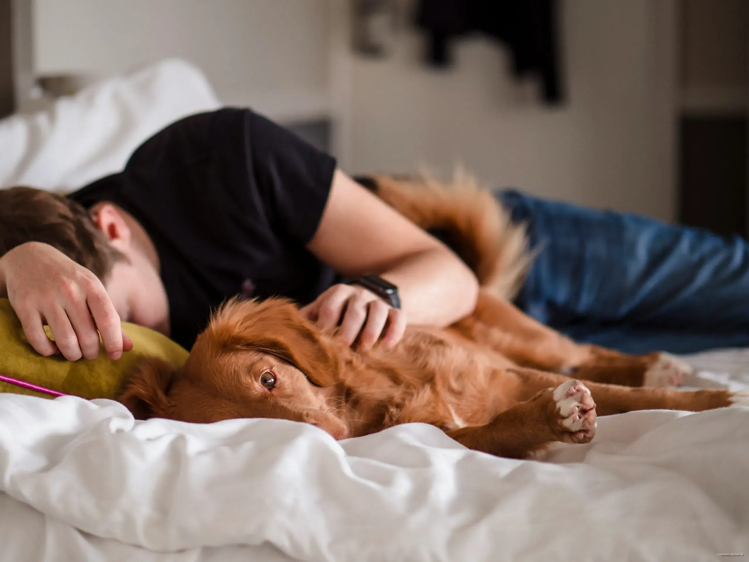 Personne endormie dans son lit