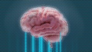 Neurosciences science du sommeil